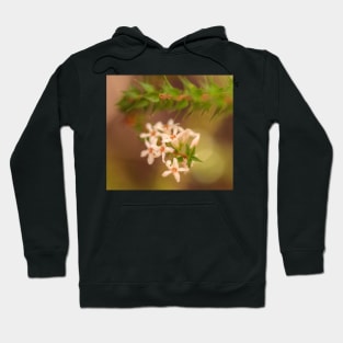 Epacris Pulchella .. Beauty Upon A Summit Hoodie